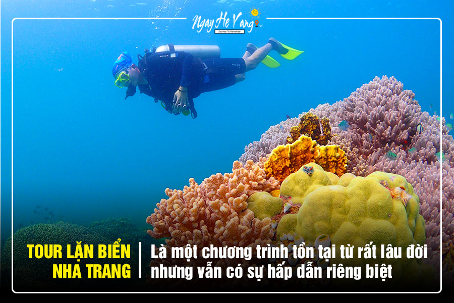 Thuê xe máy