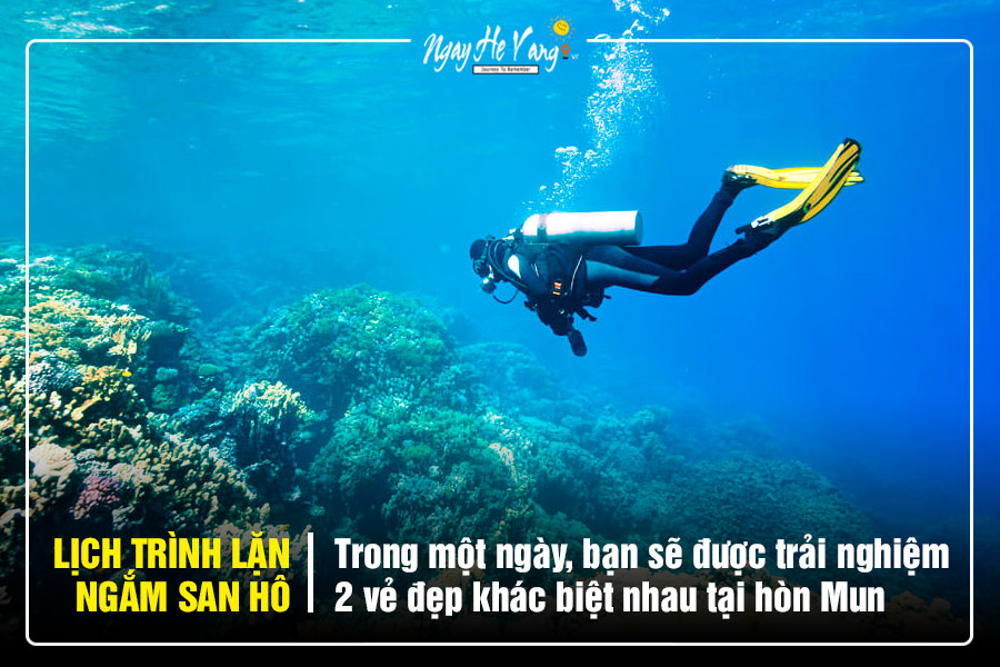 Tour hòn Tằm Nha Trang Giá Rẻ Nhất Mau Trải Nghiệm