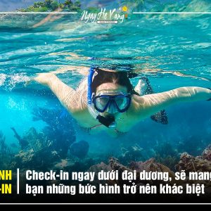 Tour lặn biển
