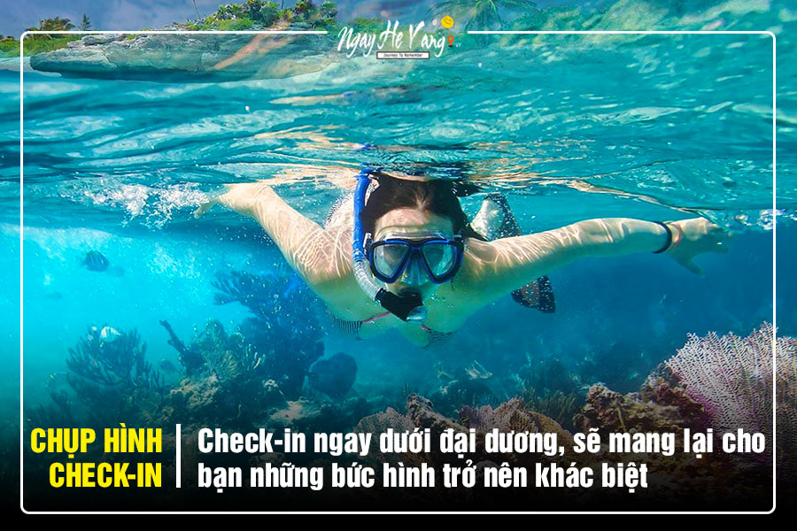 Tour lặn biển